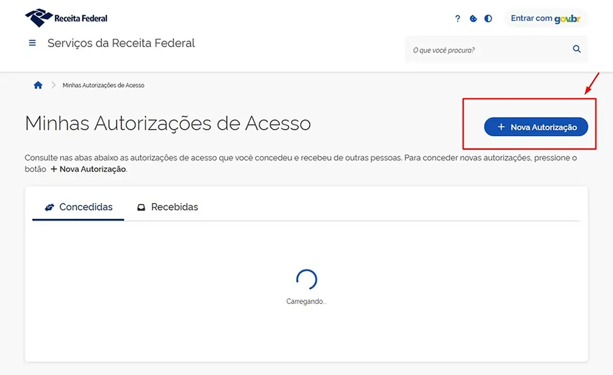 Página Minhas Autorizações de Acesso com o botão Nova Autorização destacado