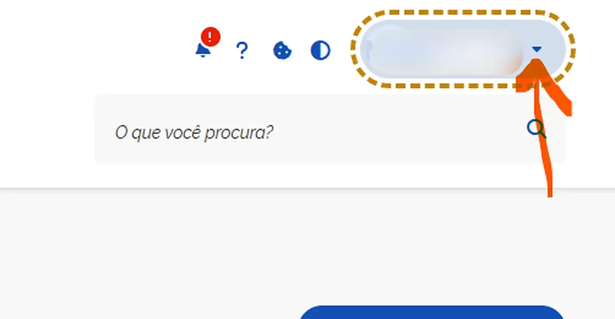 Canto superior direito do portal com a seta ao lado do nome destacada